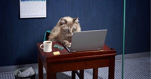 Feeling out of place in an empty office