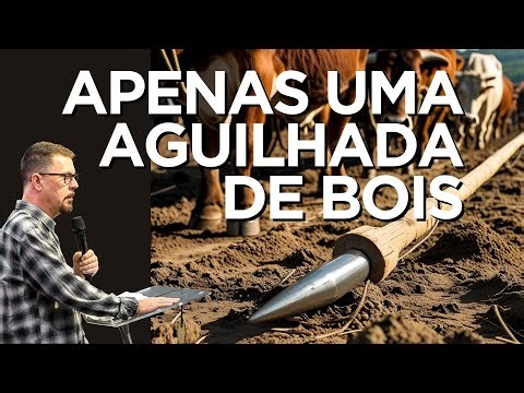 APENAS UMA AGUILHADA DE BOIS | ComBC ao vivo