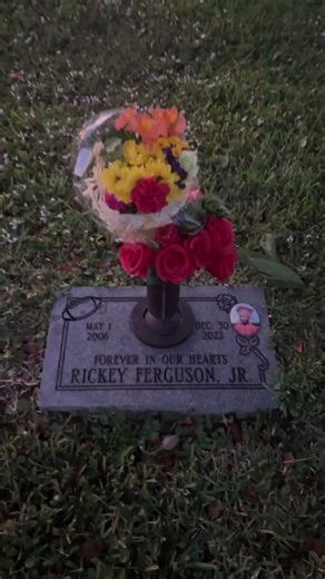 I AM GODDESS_TASHA💚❤️💜♉️🧿🪬 (@iamgoddess_tasha)’s videos with I Miss You - Trill Family & Kim McCoy