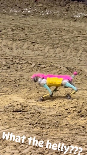 Robot dog?? Helllll naw!! | Jesse Mariner