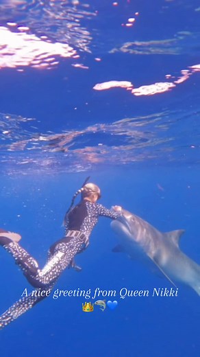 Everyday I get to see Nikki is a good day🌟 Using my technique to redirect this tiger shark. It’s a rare occasion that you’ll have to redirect a shark, however if you’re ever in the situation where you need to, I explain it in my online course “Ocean Ramsey’s Guide to Sharks and Safety” and my books found on OceanRamsey.org 📚💻 Wearing my @Oneoceandesigns @Xcel Wetsuits 📹: @juansharks 📍: @OneOceanDiving #oneoceanglobal #oneoceanresearch #oneoceaneducation #marinelife #redirect #nose #hand #oa