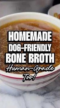 Homemade Dog-Friendly Bone Broth 🐾 Easy Human-Grade Recipe