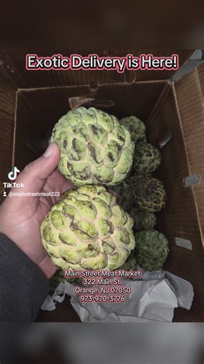 19 reactions · 12 shares | A Very Special Exotic Fruit Delivery is here!!!! Sugar Apple Spice Mangos/Blackie Star Apples Fresh Sorrel Red Guava Passion Fruit Soursop Pulp Persimmons Guyana Pineapple Sapodilla/Naseberry June Plum/Golden Apple/ Pommecythere Mamey Apple/Zapote Fresh Water Coconuts Red & Green Sugarcane Rambutan Visit us at! Main Street Meat Market 322 Main St. Orange, NJ 07050 973-970-3776 #caribbean #guyana #exoticfruit #fruit #fyp | Main Street Meat Market | Facebook