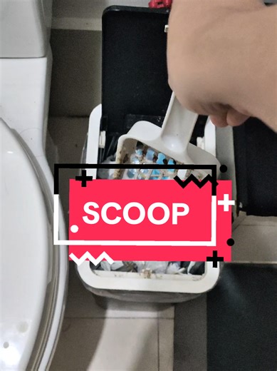 Effective Scoop for a Clean Litter Box