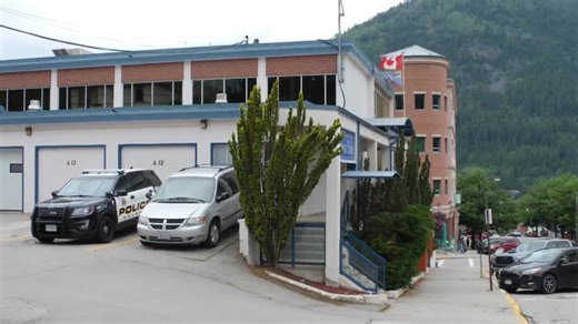 Nearly half the officers at the Nelson Police Department are under investigation