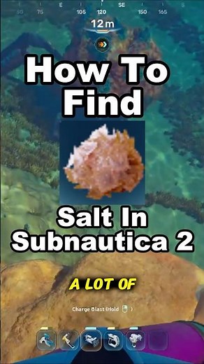 How to Find Salt In Subnautica 2