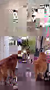 3.9K views · 54 reactions | @nicoleskittleson_ shows us how a simple, custom Elfa DIY can make a huge difference.  Right now, you can SAVE 25% on any Elfa designed space or 20% on Avera and Preston designed space. Sound ON to learn about the design process and why she chose the Elfa system for her space. Get started with a free design today. SHOP: https://container.store/3POB9Qc at #TheContainerStore | The Container Store | Facebook