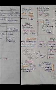 Biological classification notes/ Neet exam important notes/ Easy notes