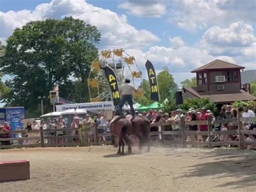 2.9K views · 182 reactions | We had a great time at Monmouth County Fair! All the animals performed wonderfully from the veterans to the newbies. I have a new Roman team that made their debut and Pepper rode the Onewheel in front of a audience for the first time. Thanks to all that came out to enjoy the show. #tommieturveysproanimals #tommieturveyhorsemanship #monmouthcountynj #monmouthcountyfair #Onewheel #onewheeldog #atlstunthorses #movieanimals | Tommie Turvey | Facebook