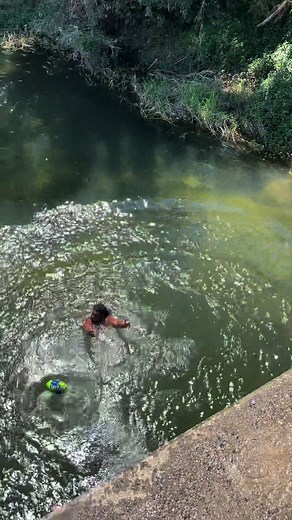 What tutorial should we drop next?🎥 The Coffin King in action. #fyp #foryou #coffin #manu #mullet #australia #BabindaBoys @Henry Snowball