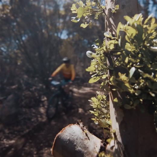 🚵‍♂️ The 2025 FNB Wines2Whales Route 🍷 3 Stages. Old favourites. New trails. Big GEES. ⏰ Don’t miss out — get your entry in today! ENTER NOW | Wines2Whales