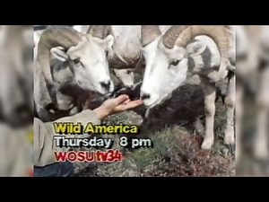 80's Promos - WOSU PBS February 1986