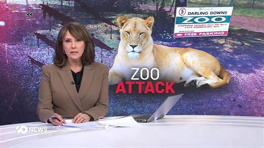 Here’s what made headlines today: A woman is recovering from a terrifying lion attack at Queensland's Darling Downs Zoo. A New South Wales man allegedly behind the firebombing of a Melbourne synagogue has fronted court for the first time. And, football stars and family members have packed a small church in Portugal, to farewell two talented players, brothers Diogo Jota and Andre Silva. | 10 News Sydney