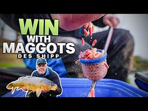 How I Keep Maggot Fishing Simple – Des Shipp