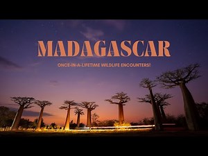 Madagascar Trip Report | ORYX Photo Tours