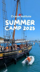 206 reactions · 36 shares | Sign up today! ☀️ See all camp info, and...