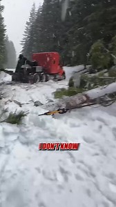 25K views · 272 reactions | Truck vs. Tree: Dangerous Rescue Operation on a Snowy Mountain Road #trucker #adventure #rescue #lostinthemountains #roadtrip #outdoorlife #truckinglife #mountainadventures | Casey LaDelle | Facebook