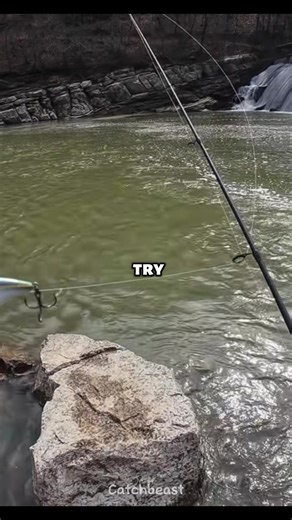 #fishing #fyp #fishinglife #catch #usa