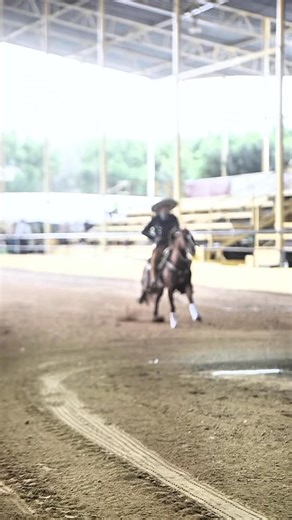 6.2K views · 186 reactions |  @rancho_uayak Antonio Díaz Paz dejando las huellas paralelas en el rectángulo de cala del Campeonato Charro Millonario #CaladeroFuturity #MomentosMillonarios La Espuela Charra talabartería | Charreando Magazine | Facebook