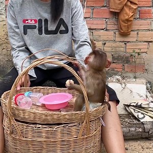 35K views · 4.6K reactions | Let go eat baby. | Tom & Jerry Family | Facebook