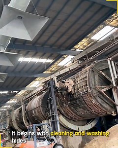 How Raw Hides Transform into Premium Leather Products.😱 #tanningprocess | Jogi Jokes