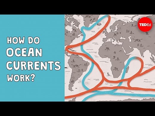 How do ocean currents work? - Jennifer Verduin - Videos For Kids