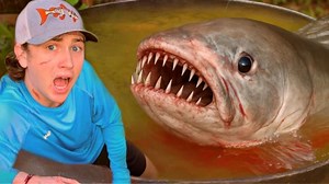 Bass Fishing Productions S02:E22 - I Caught the Monster Attacking My Fish!