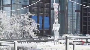 15K views · 132 reactions | Trees, lamp posts, road signs, cars and buildings were covered with a thick layer of ice in the city of Vladivostok, Russia on Saturday, after several days of snow and rain, followed by a sharp drop in temperature. Also see: https://trib.al/ZPX7CP2 | Global BC | Facebook