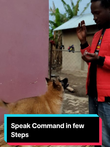 Speak Command learning by our Lovely Girl.