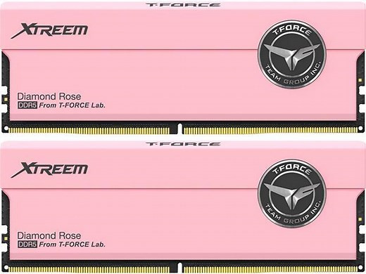 Team T-Force Xtreem 32GB (2 x 16GB) DDR5 8000 (PC5 64000) Desktop Memory Module RAM (FFXD532G8000HC38DDC01) - Newegg.com