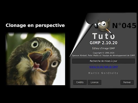 Tuto Gimp 2 10 20 – 045 - L’outil de clonage en perspective