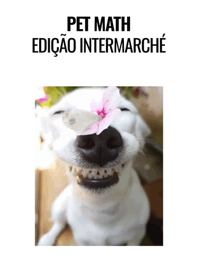 Understanding 'Pet Math' in Pet Ownership