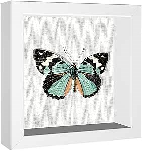 Amazon.com - Califortree 5x5 Small Shadow Box Picture Frame with Soft Linen Back - Push Pins Included, Memory Shadow Box Display Case for Bouquet Awards Medals Wedding Photos and More, White