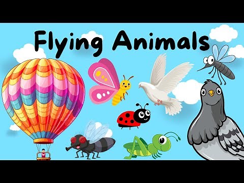 Flying Animals for Kids - Learn Who Flies in the Sky | Kids Video | Toddlers Educational Video