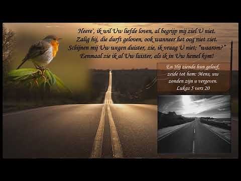 Wat de toekomst brenge moge