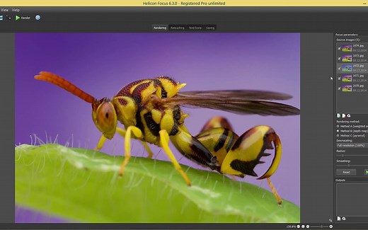 使用Helicon Focus进行修饰