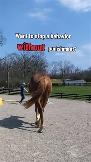 Interrupters are a great alternative to punishment or physical corrections!