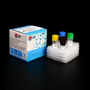 [Hot Item] Real Time PCR Reagents Candida Albicans Test Kit Nucleic Acid Detection Kit