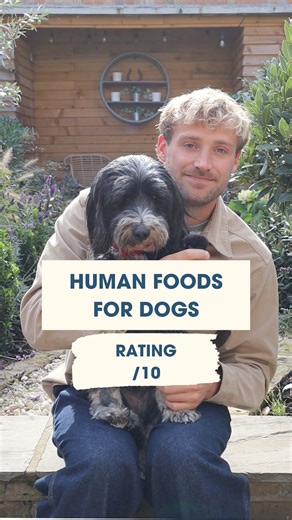 Comment below with any foods you want me to rate out of 10 for your dog and I'll try and include them in the next video. Cam | The Dog Nutritionist