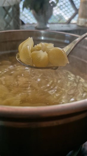 Shell 🐚 pasta in 10 mins !! Quick n easy pasta recipee #youtubeshorts #food #shellpasta #easyrecipe