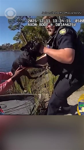 Fishermen were called into action after the Jacksonville Sheriff’s Office was alerted to a French bulldog in distress in the Ribault River on December 11. After Jacksonville sheriff's department officers were called to rescue a French bulldog who was “stranded on a small island in the marsh, cold, wet, and unable to get back on his own,” they asked two nearby fishermen for their help. "Within moments, the fishermen used their boat to reach the island, safely bring the Frenchie to shore,” the dep