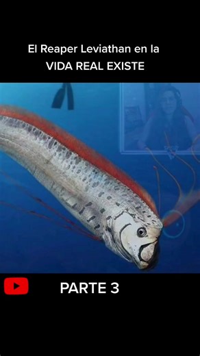 El Reaper Leviathan en la Vida Real: ¿Realidad o Mito?
