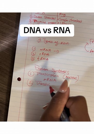 Part 3 | Grade 12 LIFE SCIENCES - RNA