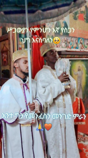 ኀዳፌ ነፍስ 🙏 እኛን ኃጥአንን ብትምረን ያን ጊዜ መሐሪ ትባላለህና 🥺🤎#kidase #ethiopianorthodoxtewahedo🇪🇹 #ethiopian_tik_tok🇪🇹🇪🇹🇪🇹🇪🇹 #followers➕ #viral
