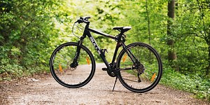 Vigorous Exercise Boosts Cognition in Young Adults | Neuroscience