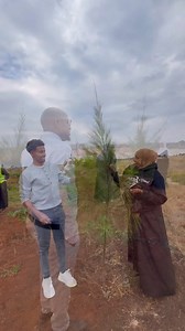 586K views · 25K reactions | Successful tree planting exercise in Konza City’s residential neighborhood with Mabsa Group  @top fans | Magical Moha | Facebook