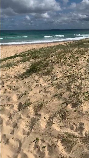 🇦🇺 Conheça e venha viver o extraordinário da Austrália.