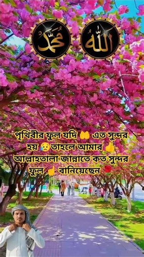 🌛আলোকিত হইল 💥মাতা মা আমিনার🧕 কোল গজল🤲#Islamic Kajal#duet #short#video