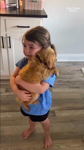 Little girl can't stop crying holding her new puppy