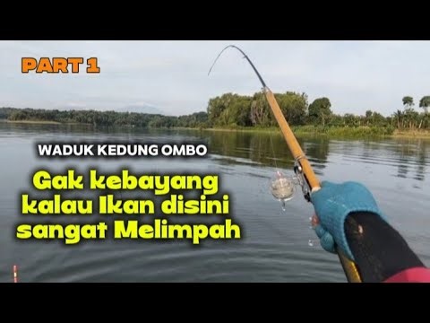 Mancing WKO Terbaru||Gak kebayang sekali‼️Ikan dispot ini sangat Melimpah⁉️#mancing #fishing #wgm